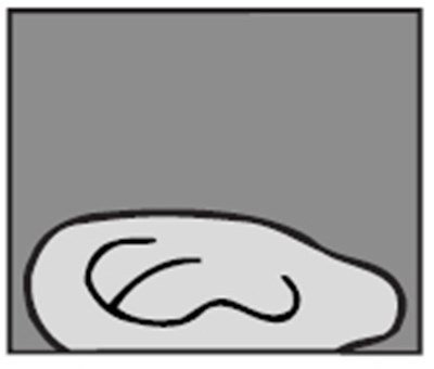 Picture 5 - Picture 5